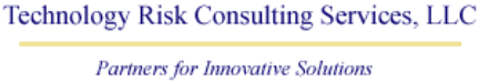 Technology Risk Consulting Svc